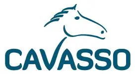 Cavasso