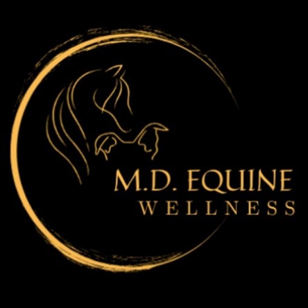 Equine Horse Wellness