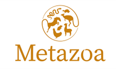Metazoa